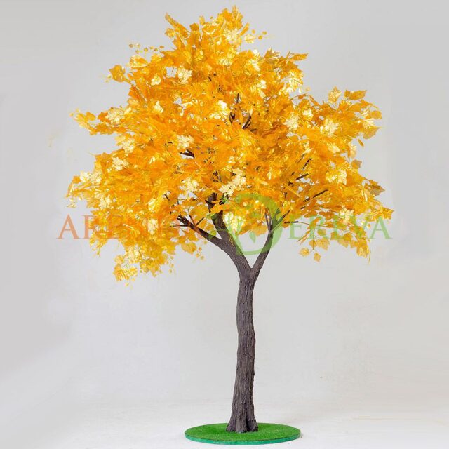 Золотое дерево - Аренда дерева "Клен золотой" 3м.