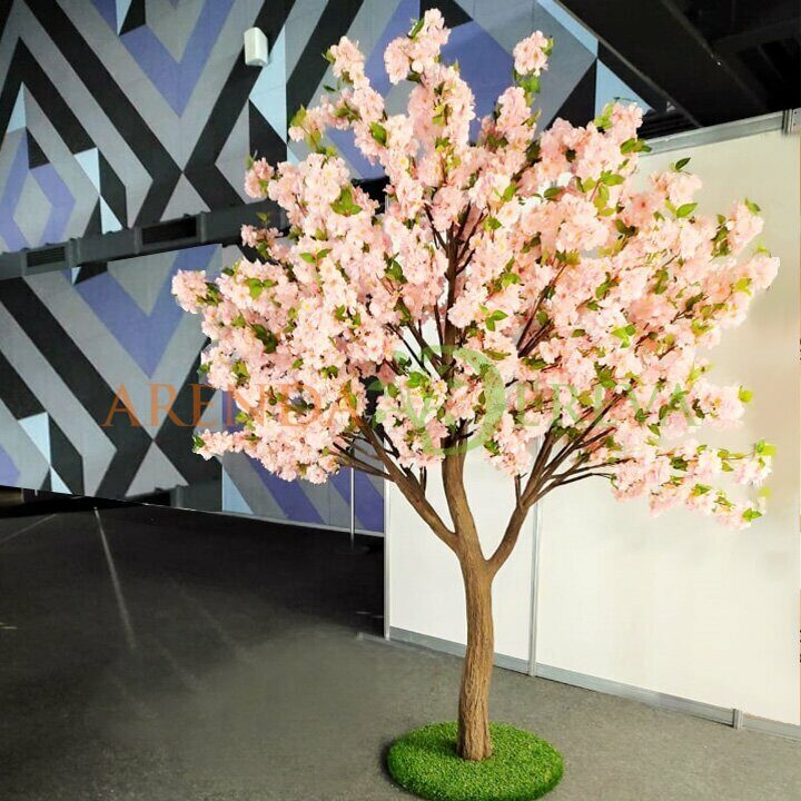 Аренда цветущего дерева яблоня розовое 2,5м. - розовое дерево