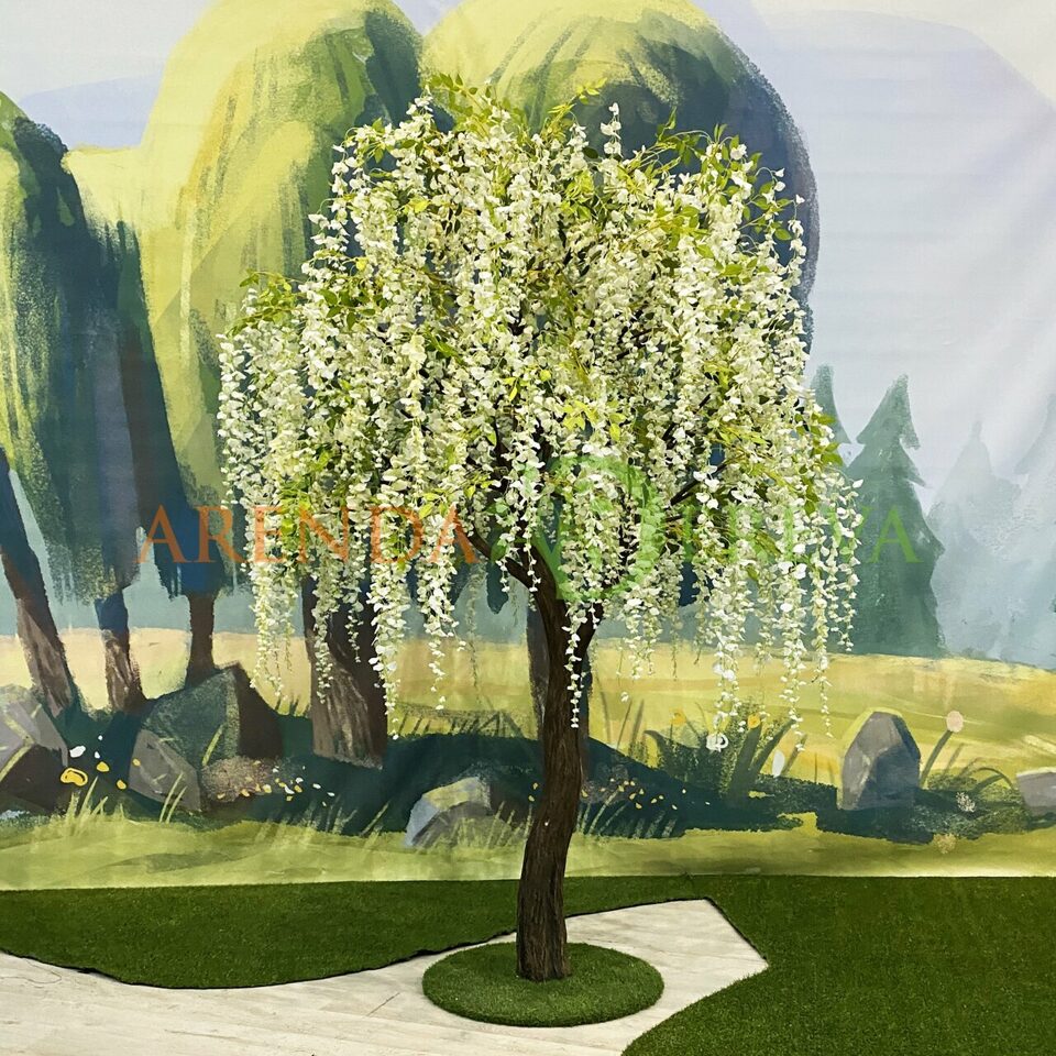 Аренда дерева "Глициния цвета ванильного льда" 2,9м - белое дерево