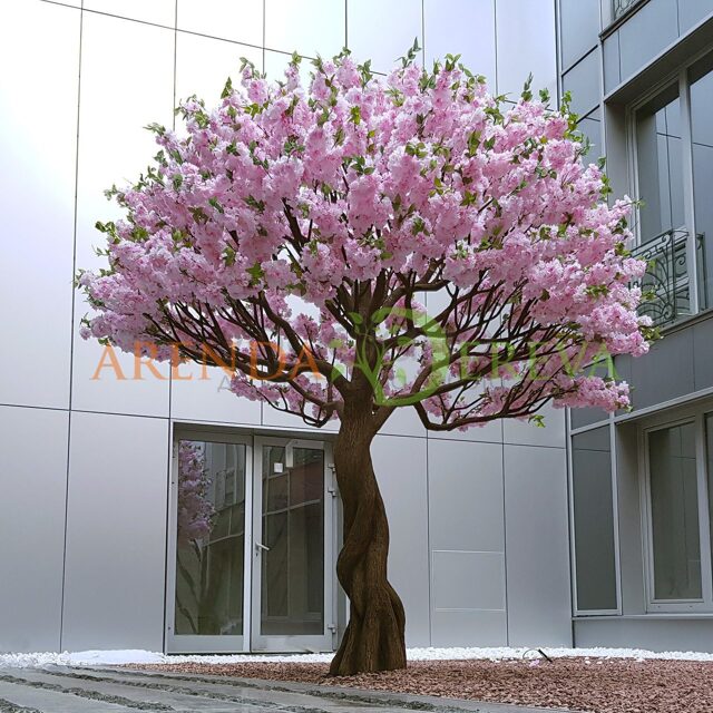 Аренда авторского цветущего дерева "KingWood" 3,5м. - весеннее дерево